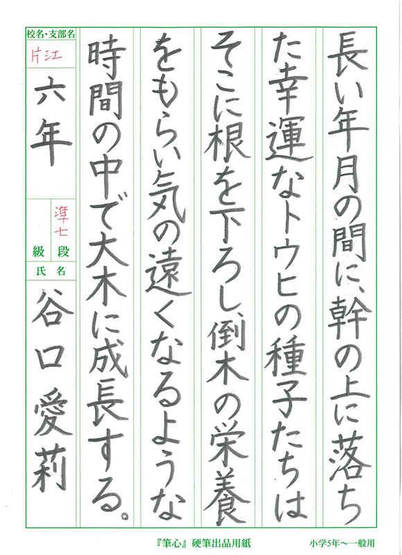 Atacched File